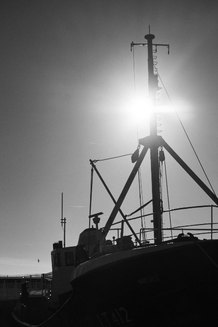 sun behind a boat’s mast
