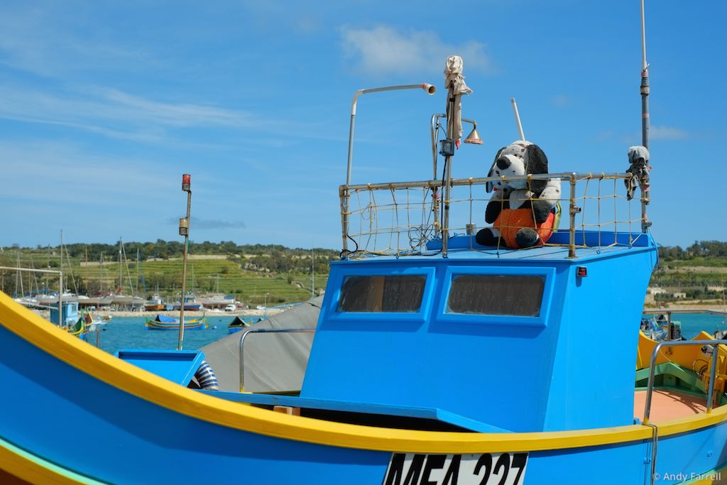 plush dog on a blue boat
