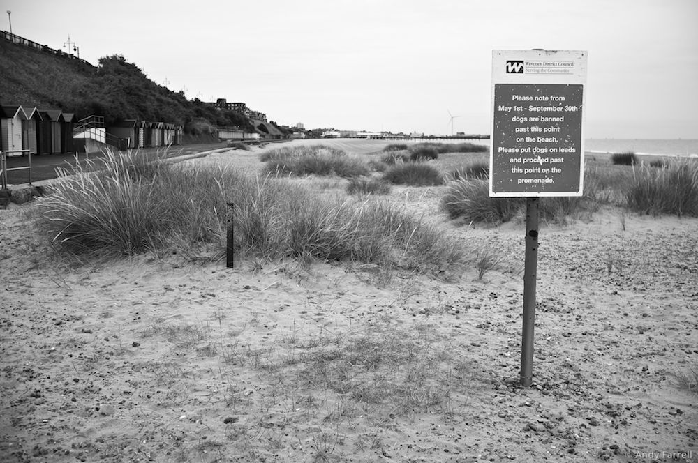 sign alerting visitors to Pakefield beach about the rules concerning dogs