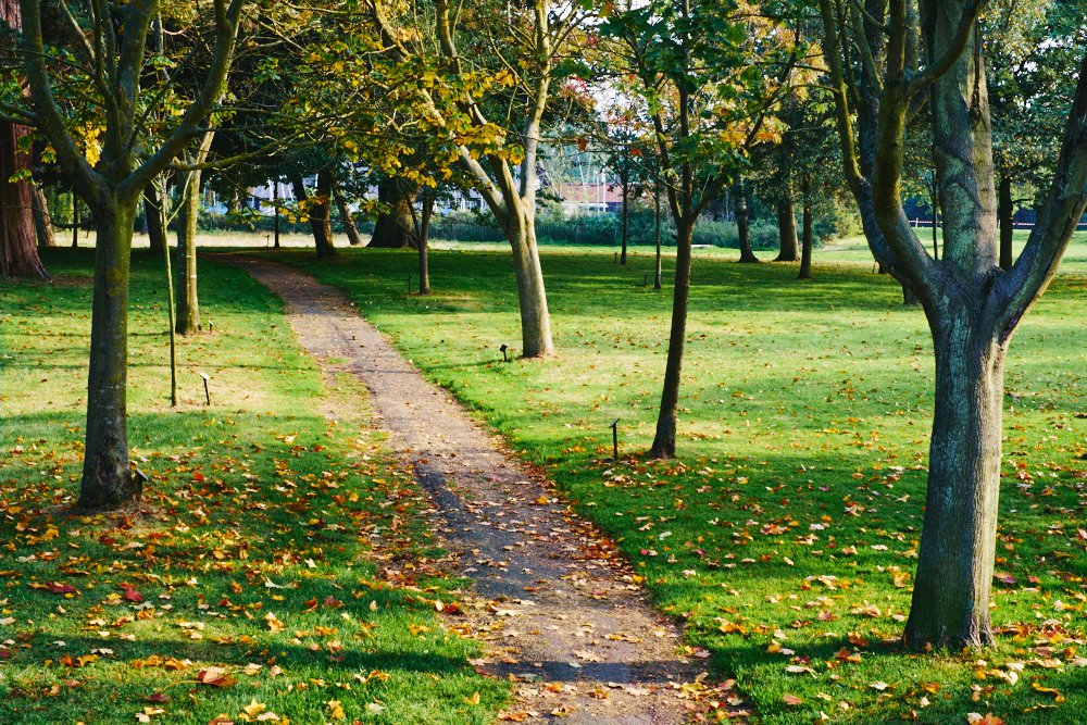 path through Nicholas Everitt Park