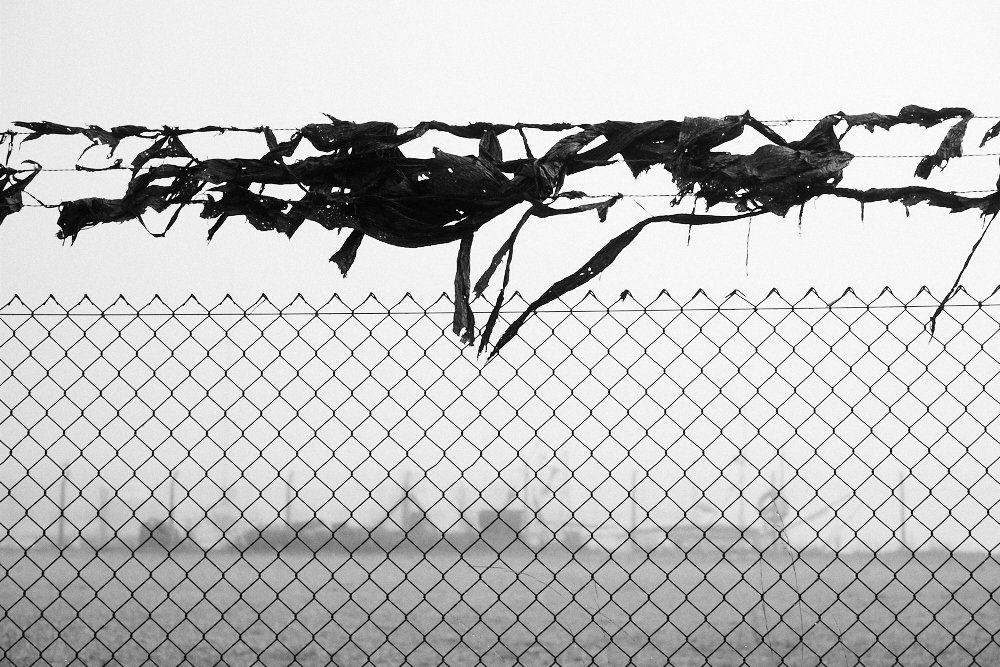 tatters on barbed wire