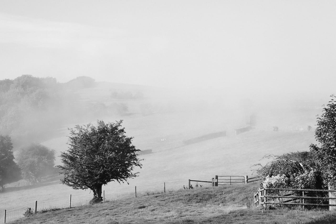 foggy landscape 1