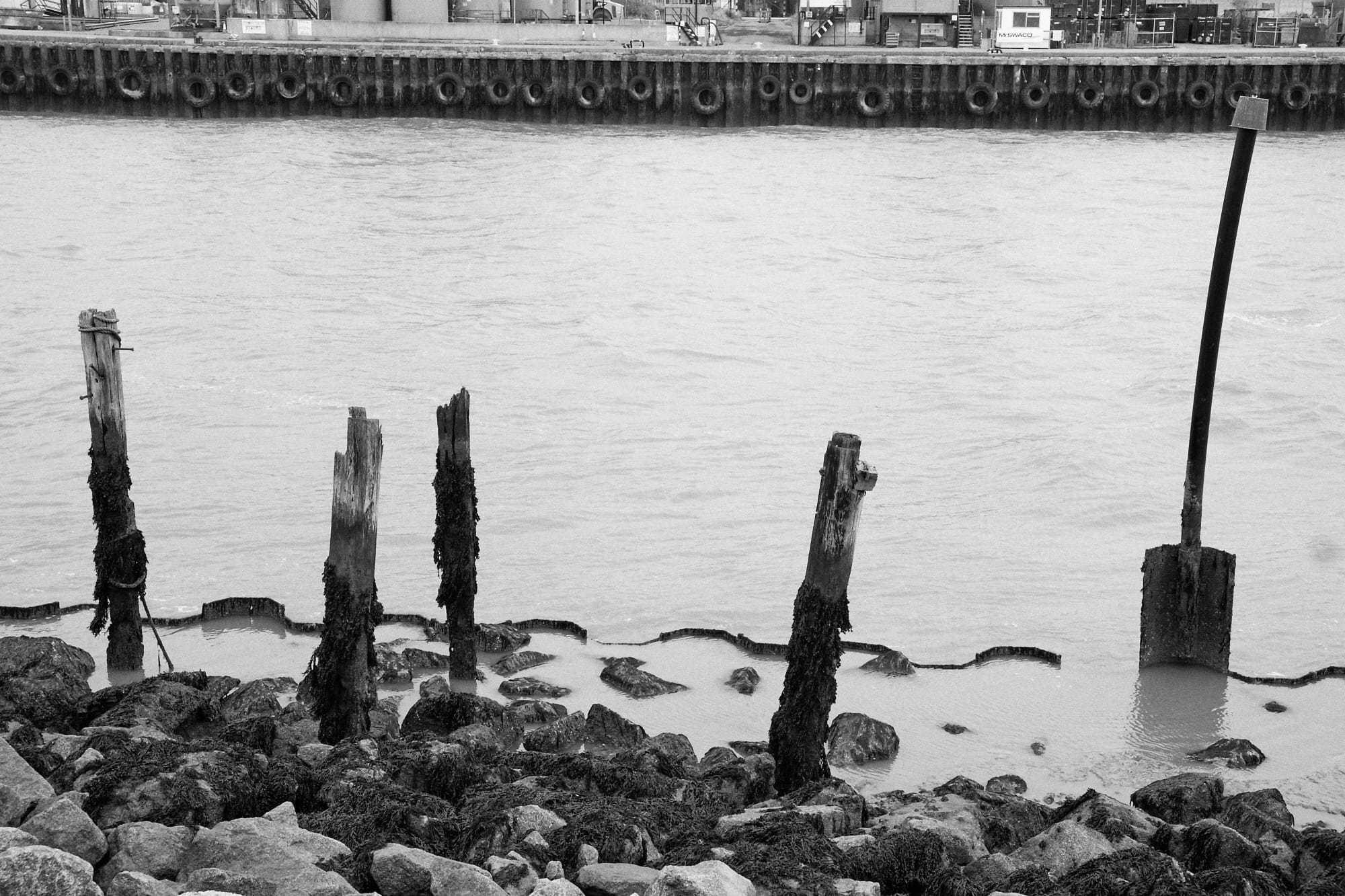 posts at the side of the River Yare
