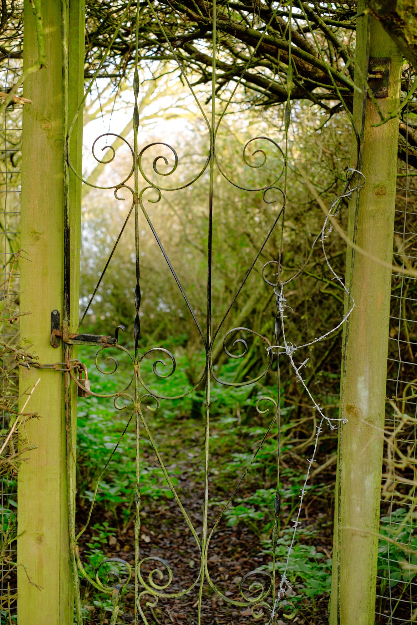 locked gate on wooded path