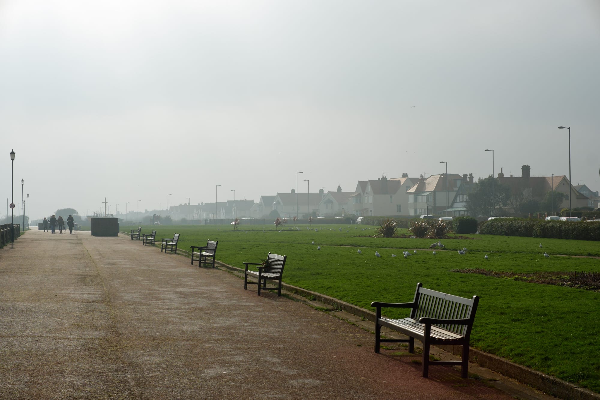 row of benches along the promenade