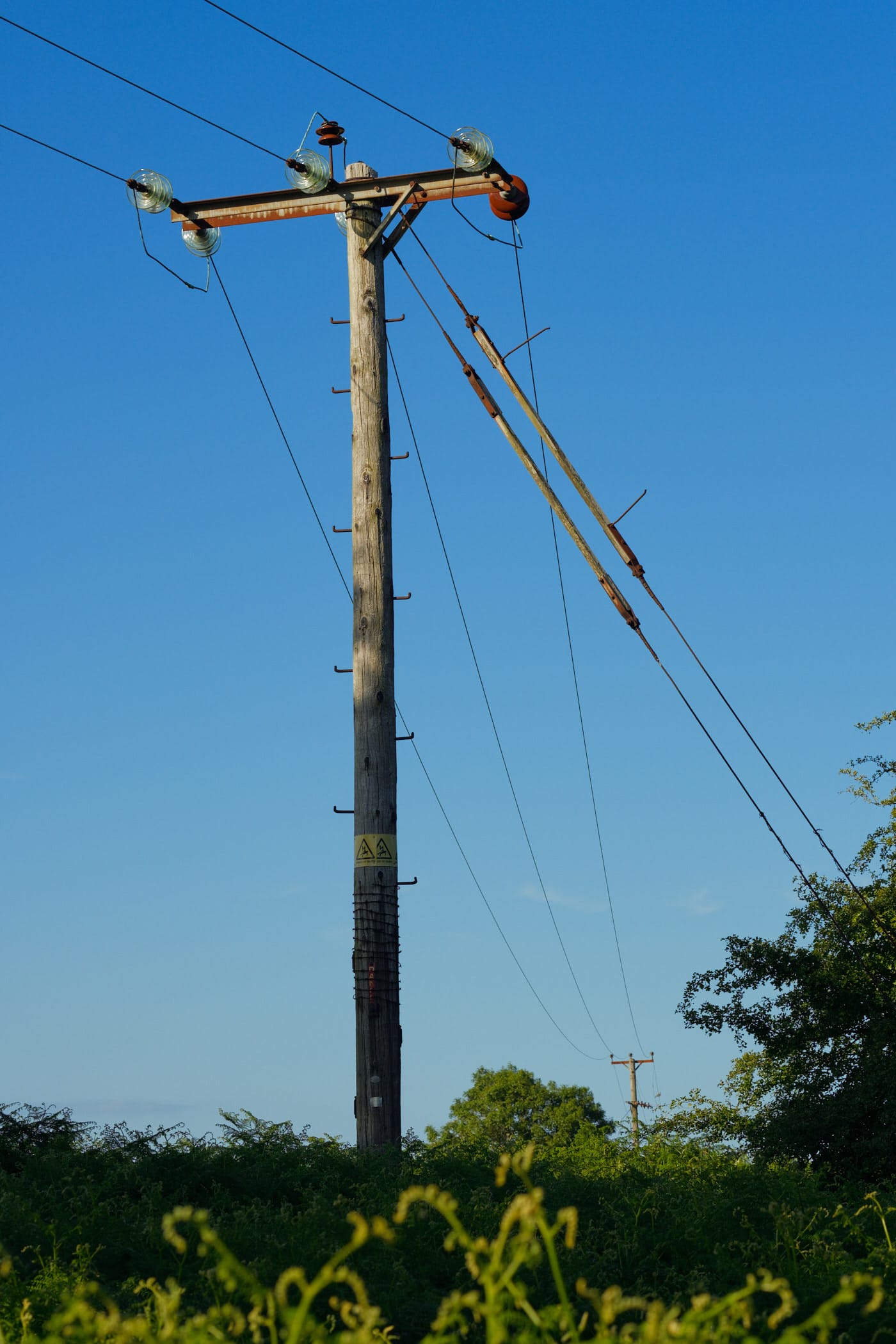 telegraph pole and wires