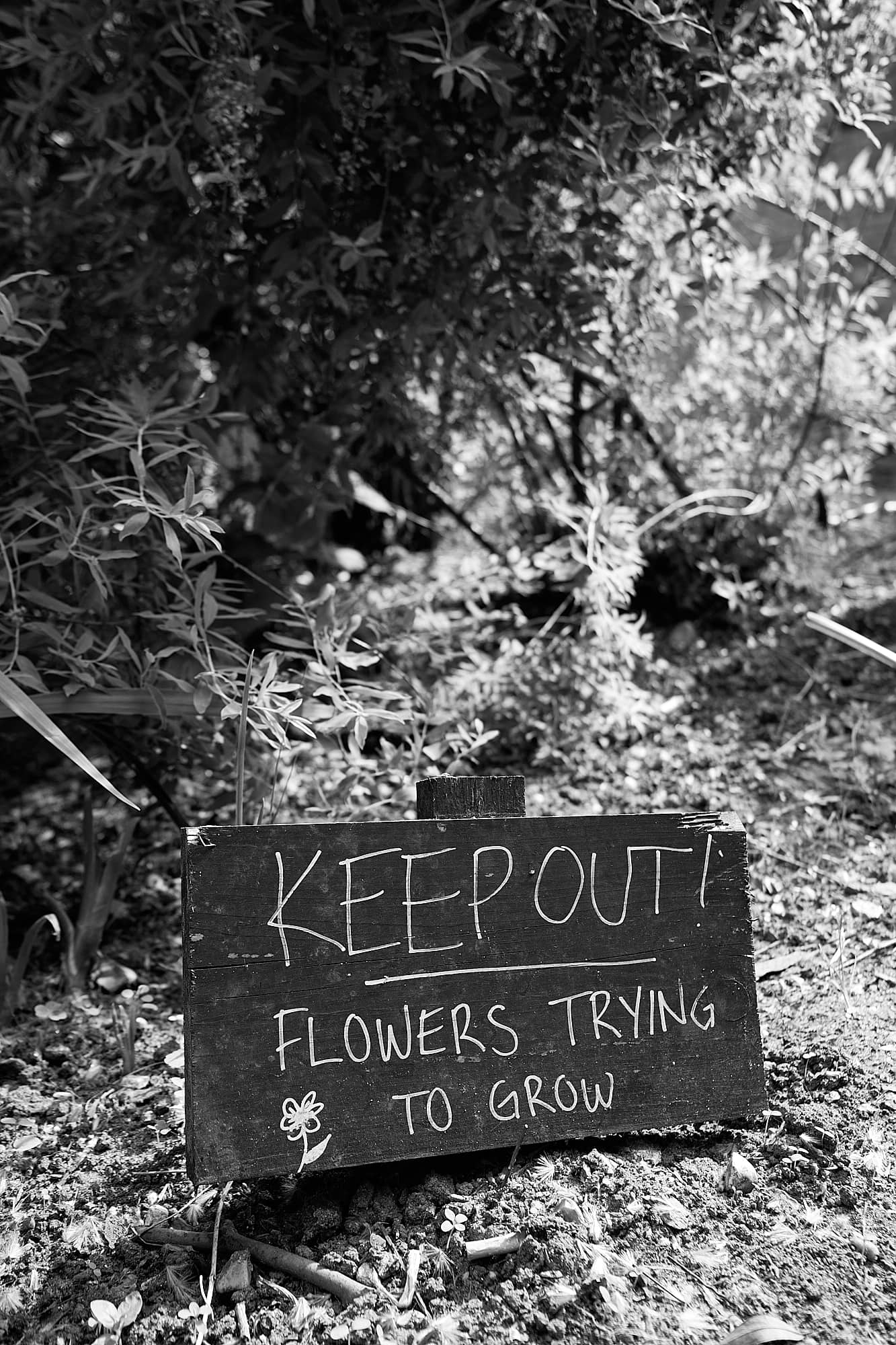 flowerbed Keep Out sign