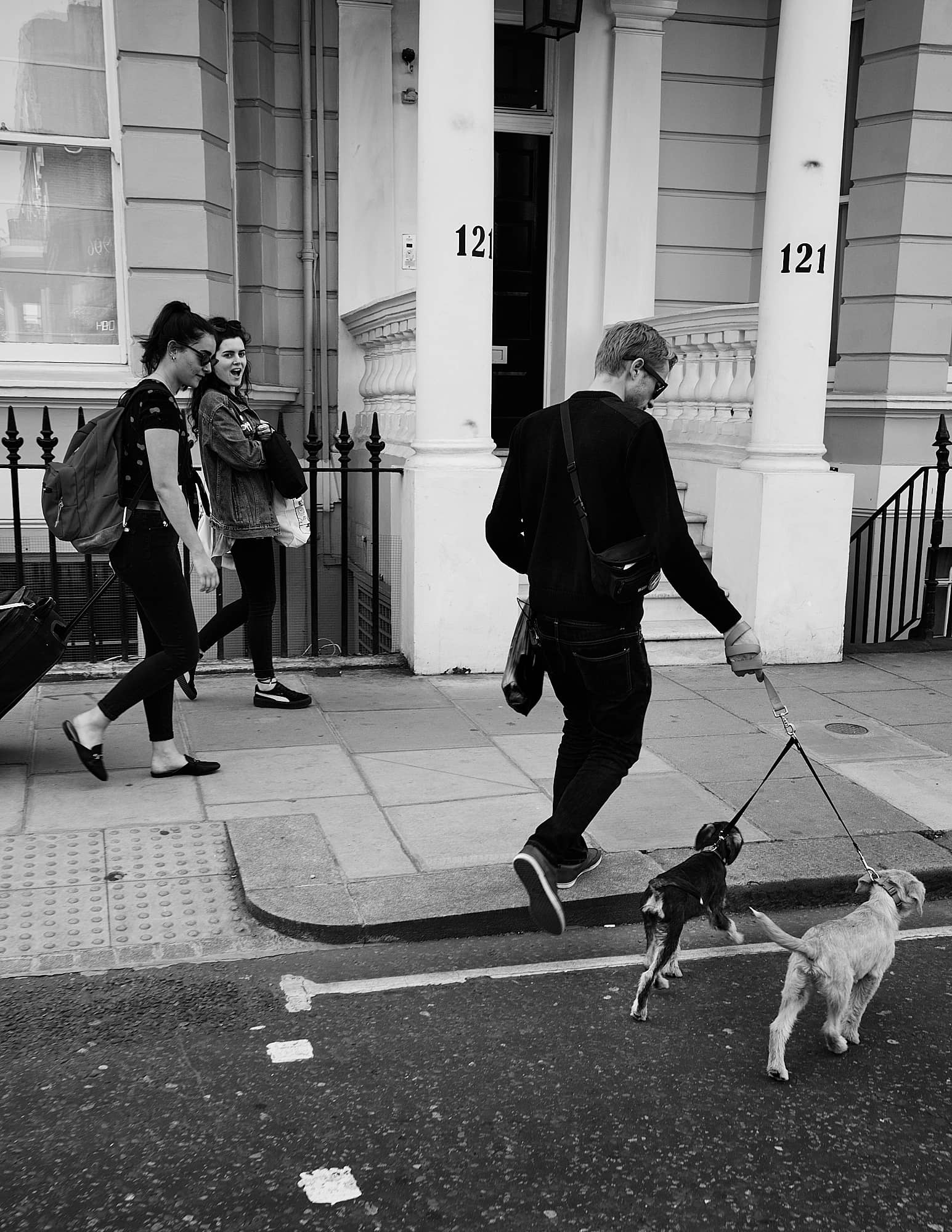 man crossing the road with two small dogs