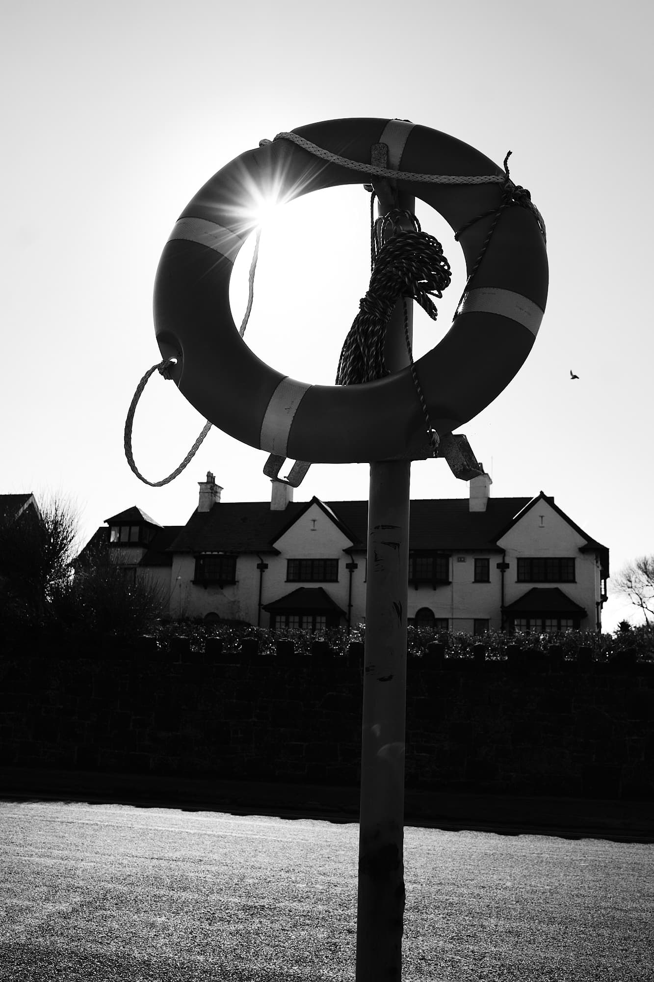 life buoy in front of the sun