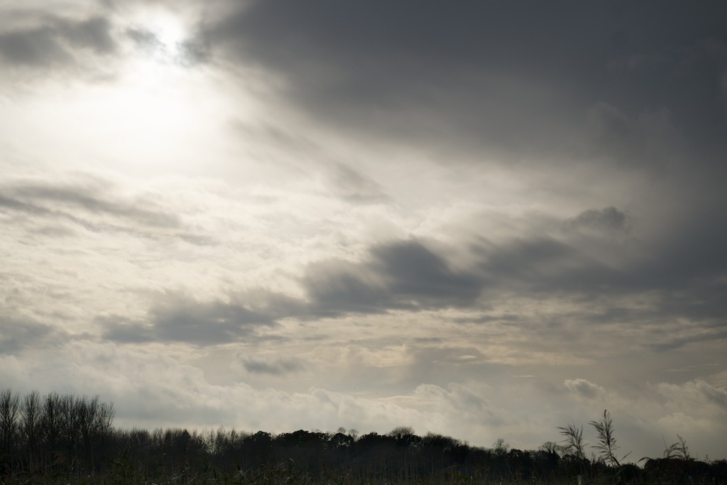 winter sky, warmer tone