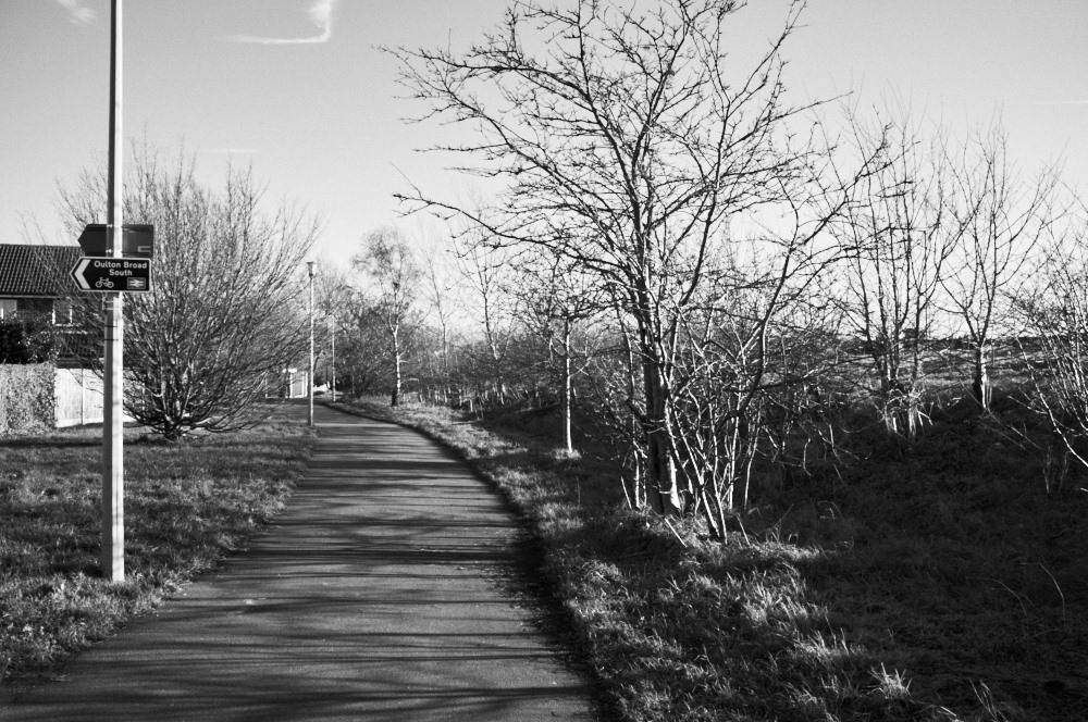 tree shadows on a footpath