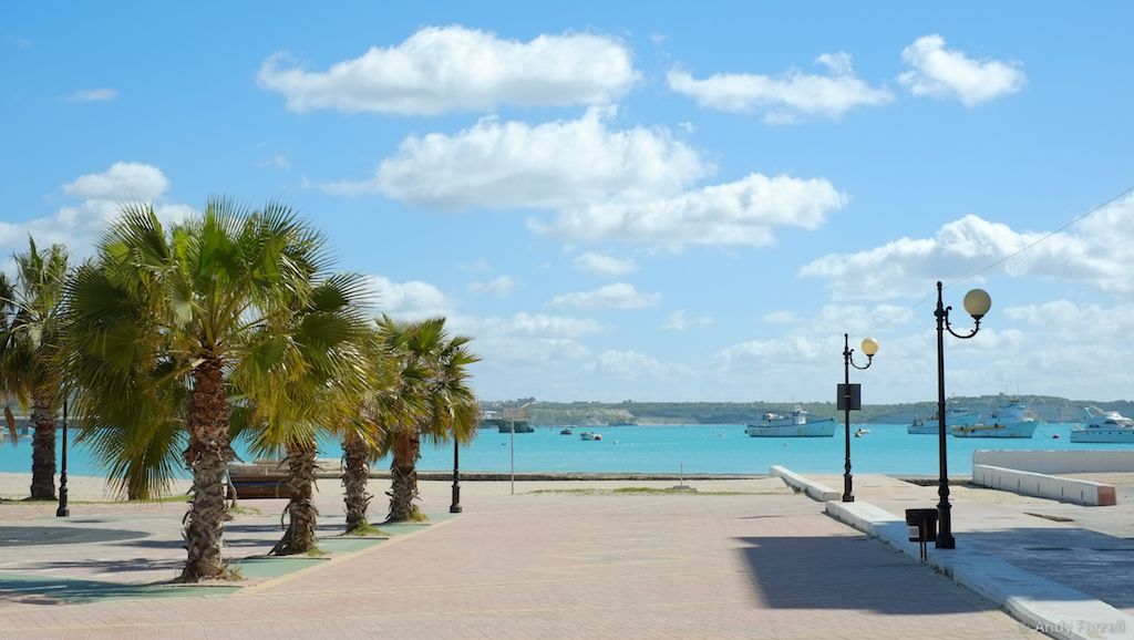 palm trees and lamp posts by Pretty Bay