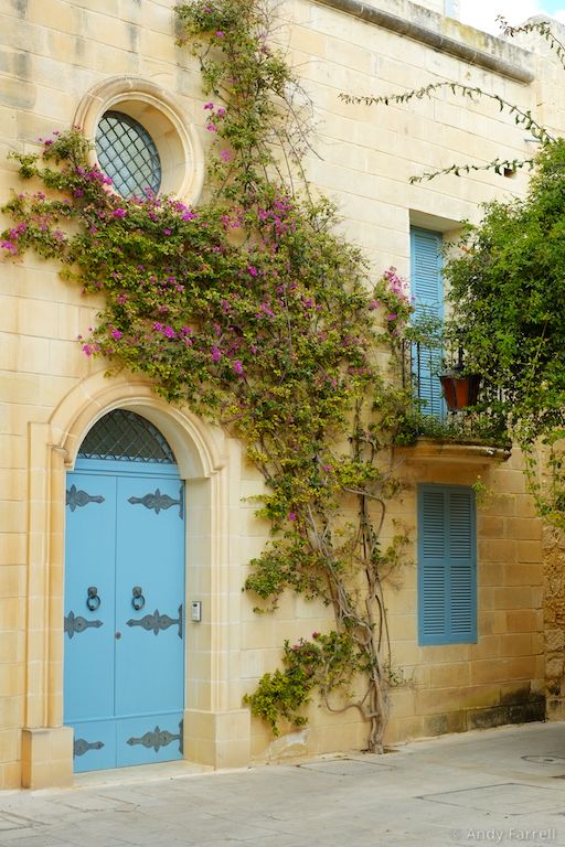 plants growing up the side of a building with a blue door