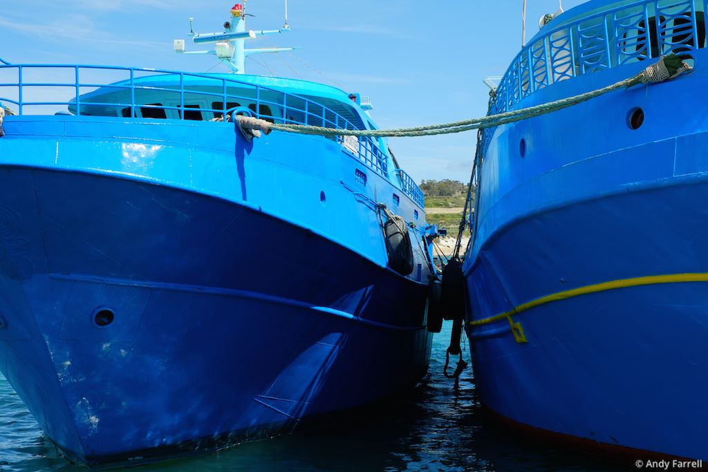 two blue boats