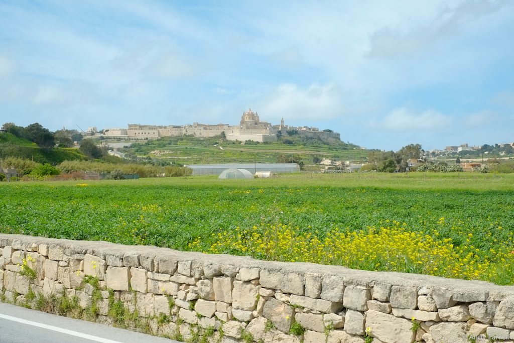 Mdina from the road to Ta’Qali