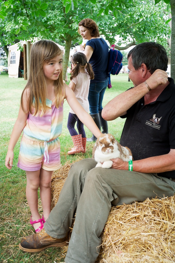 Girl petting a rabbit