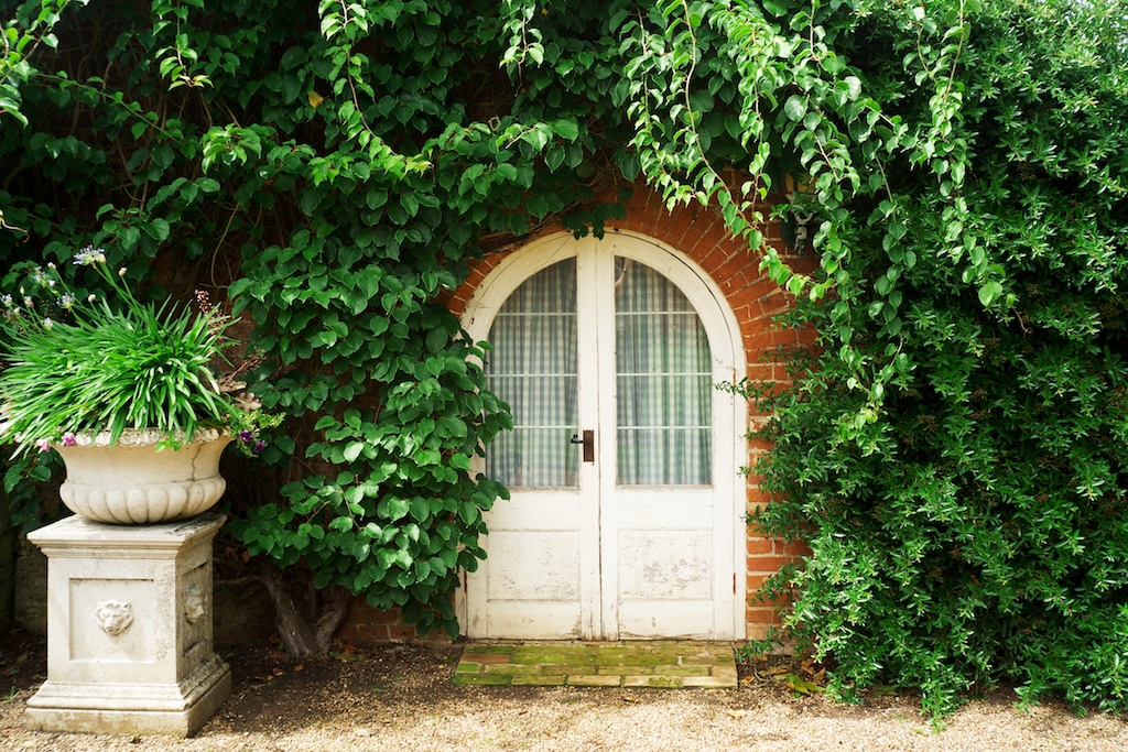 An overgrown doorway