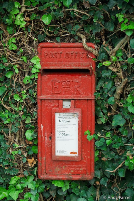 overgrown postbox