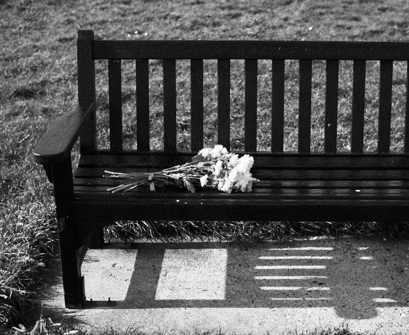 flowers on a bench