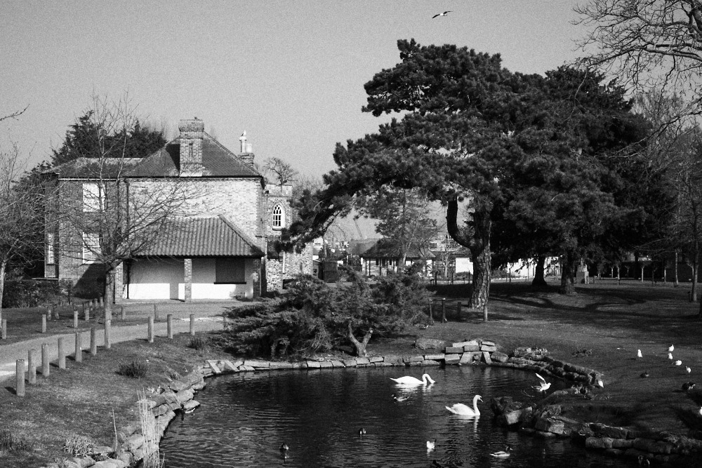 Everitt Park pond