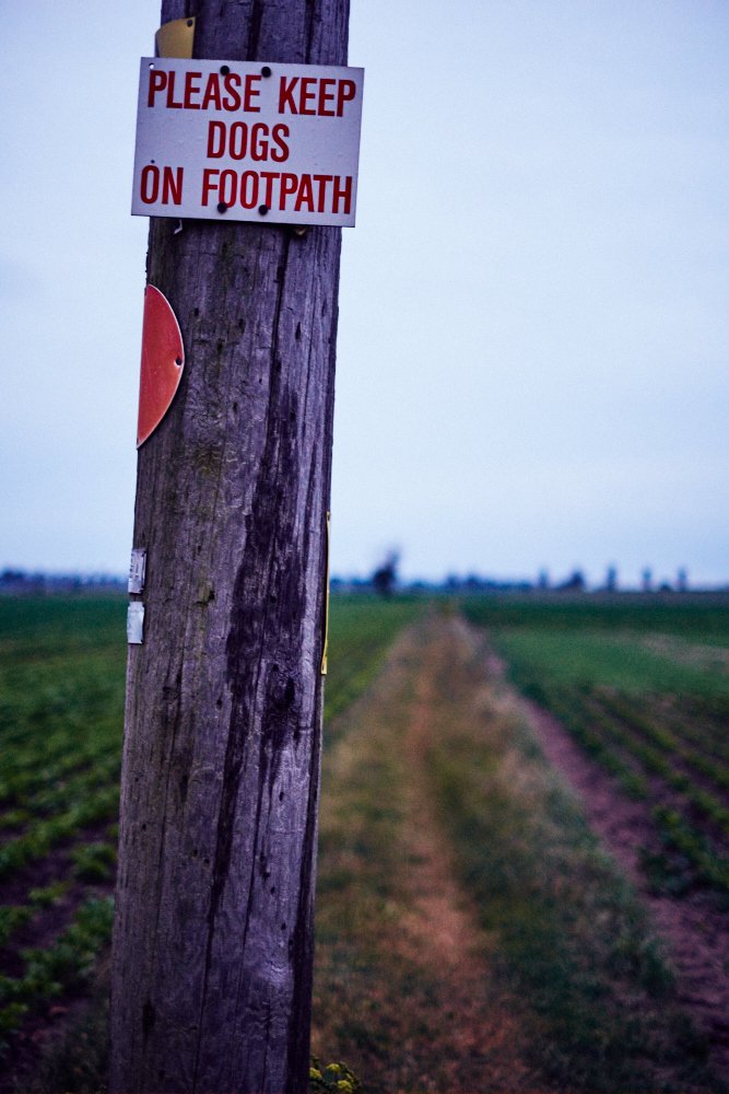 please keep dogs on footpath