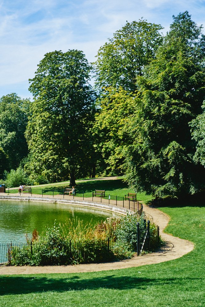 pond in Christchurch Park