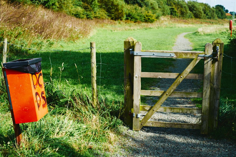 bin and gate