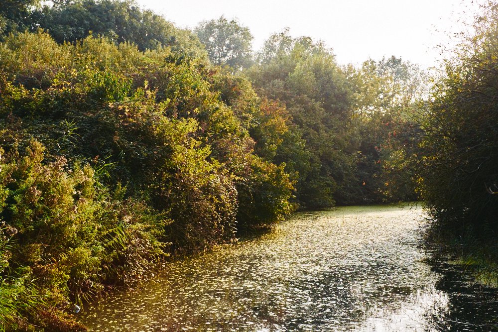 evening canal by Oulton Broad