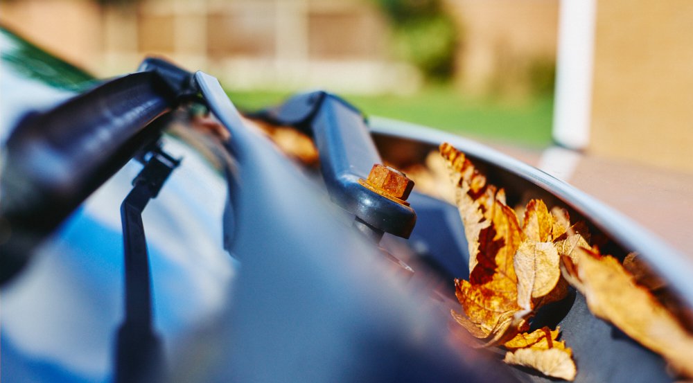 dead leaves and car windscreen wipers