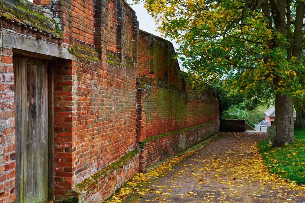 wooden door in a wall