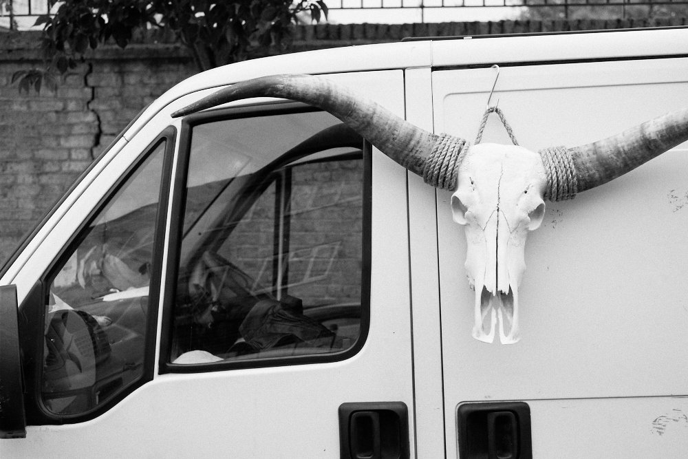 skull on a white van