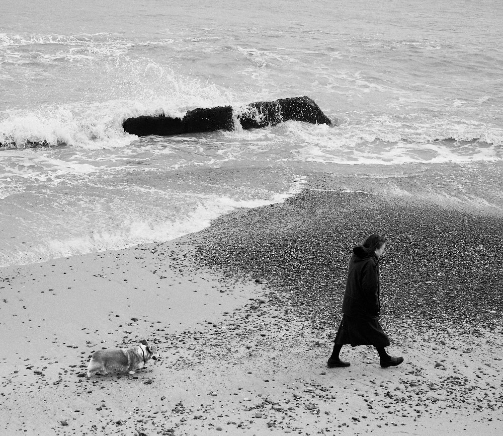 woman walking her dog on the beach