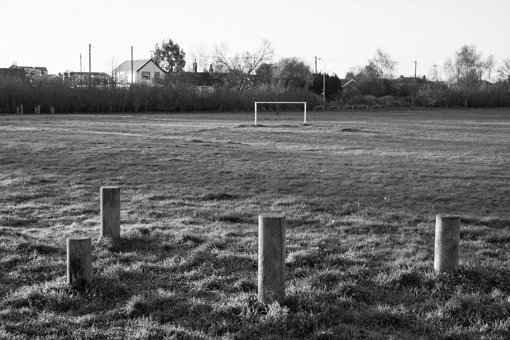 posts in the park