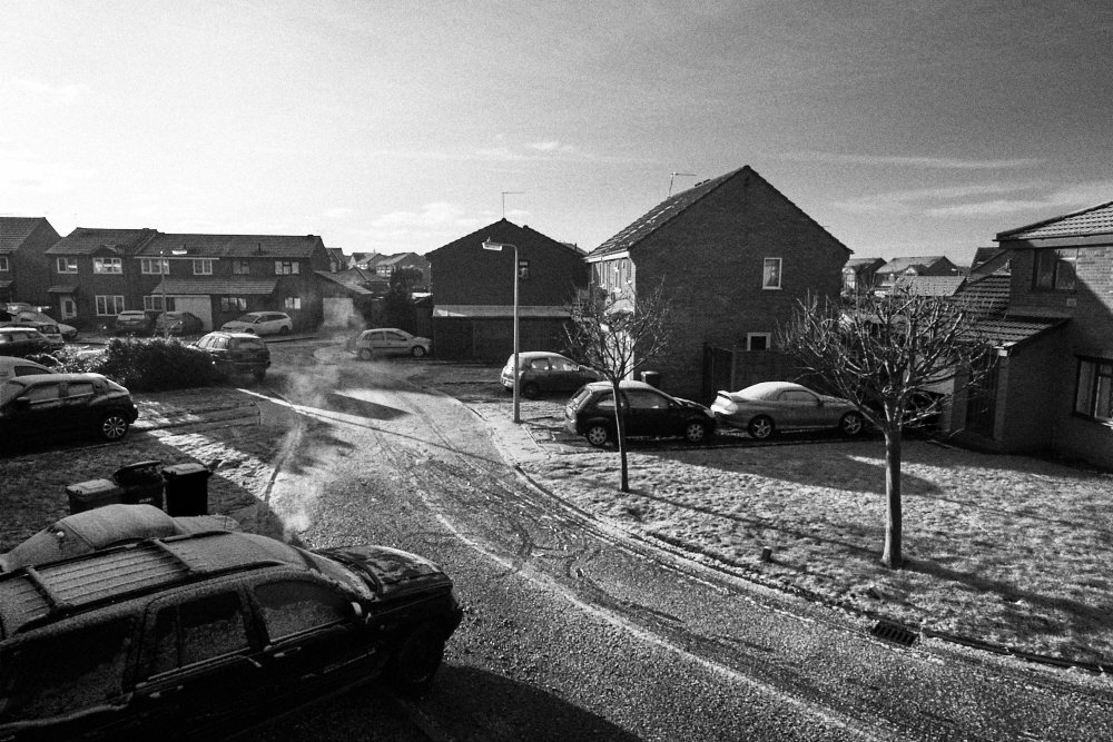 frosty suburban morning