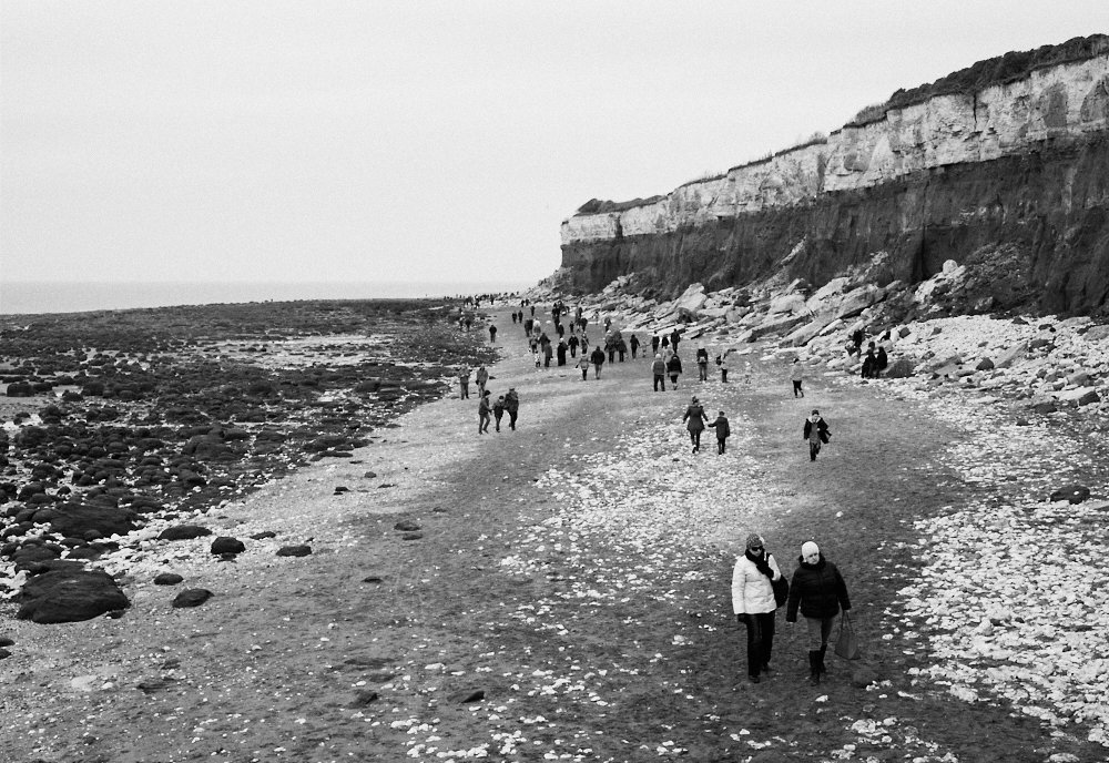 beach visitors