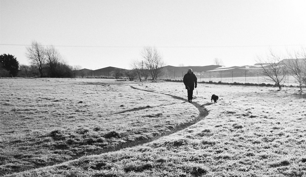 man walking his dog on a frosty morning