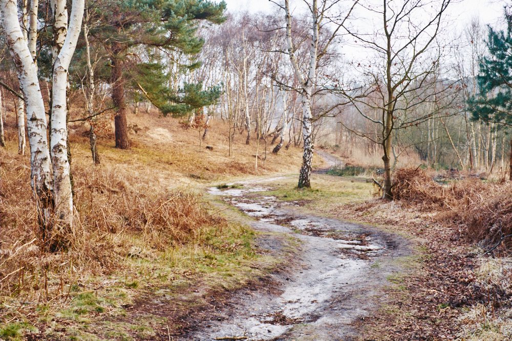 Dunwich Heath footpath