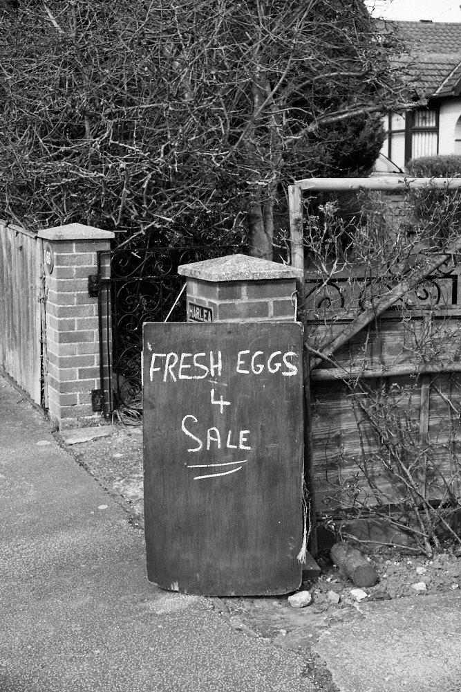 fresh eggs 4 sale sign