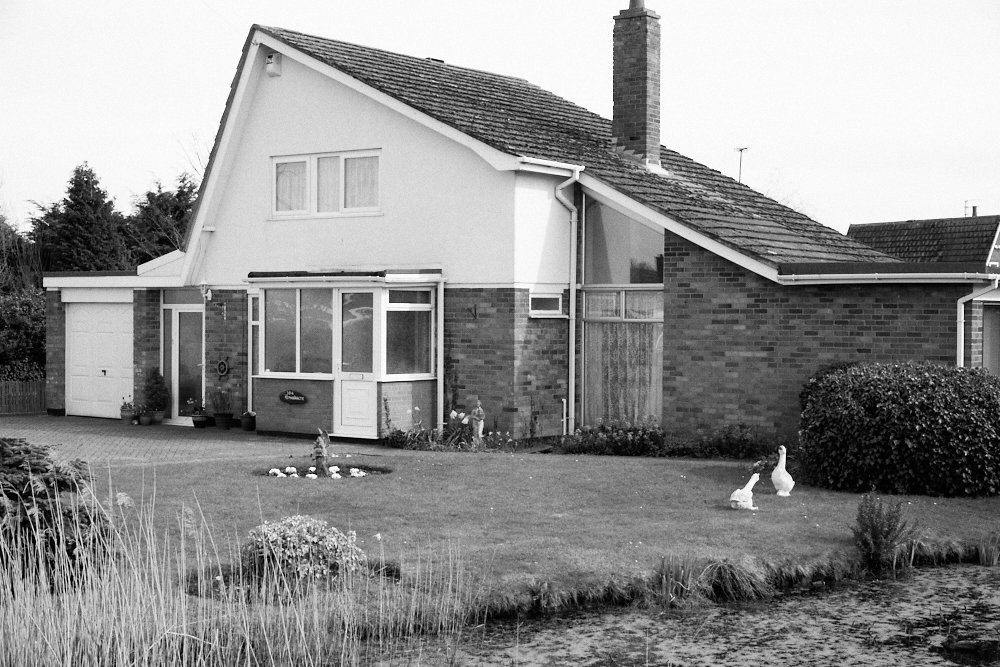 house with duck pond