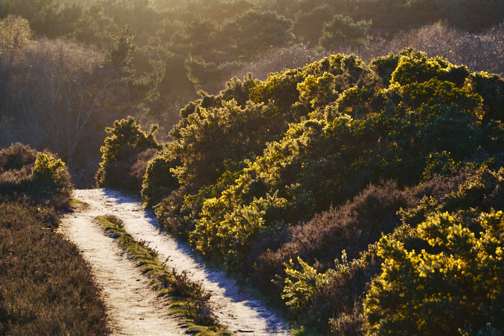 hilltop path