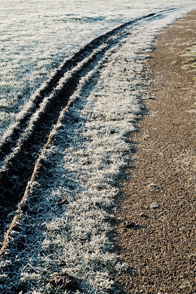frozen track in mud alongside footpath