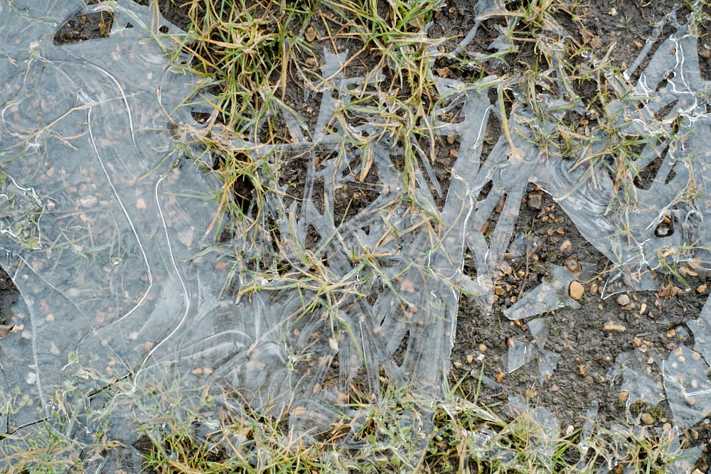 patchy ice in grass