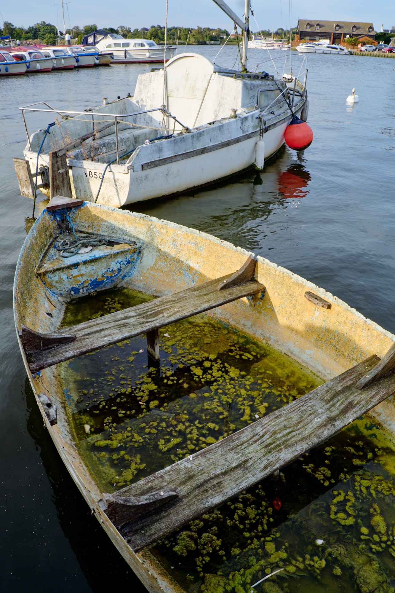 old flooded boat