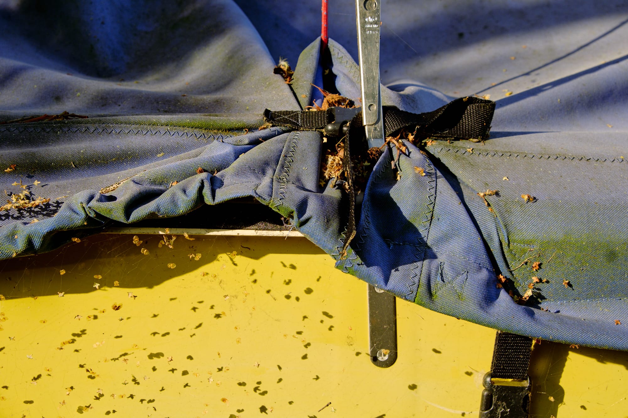 tarpaulin and bugs on a web