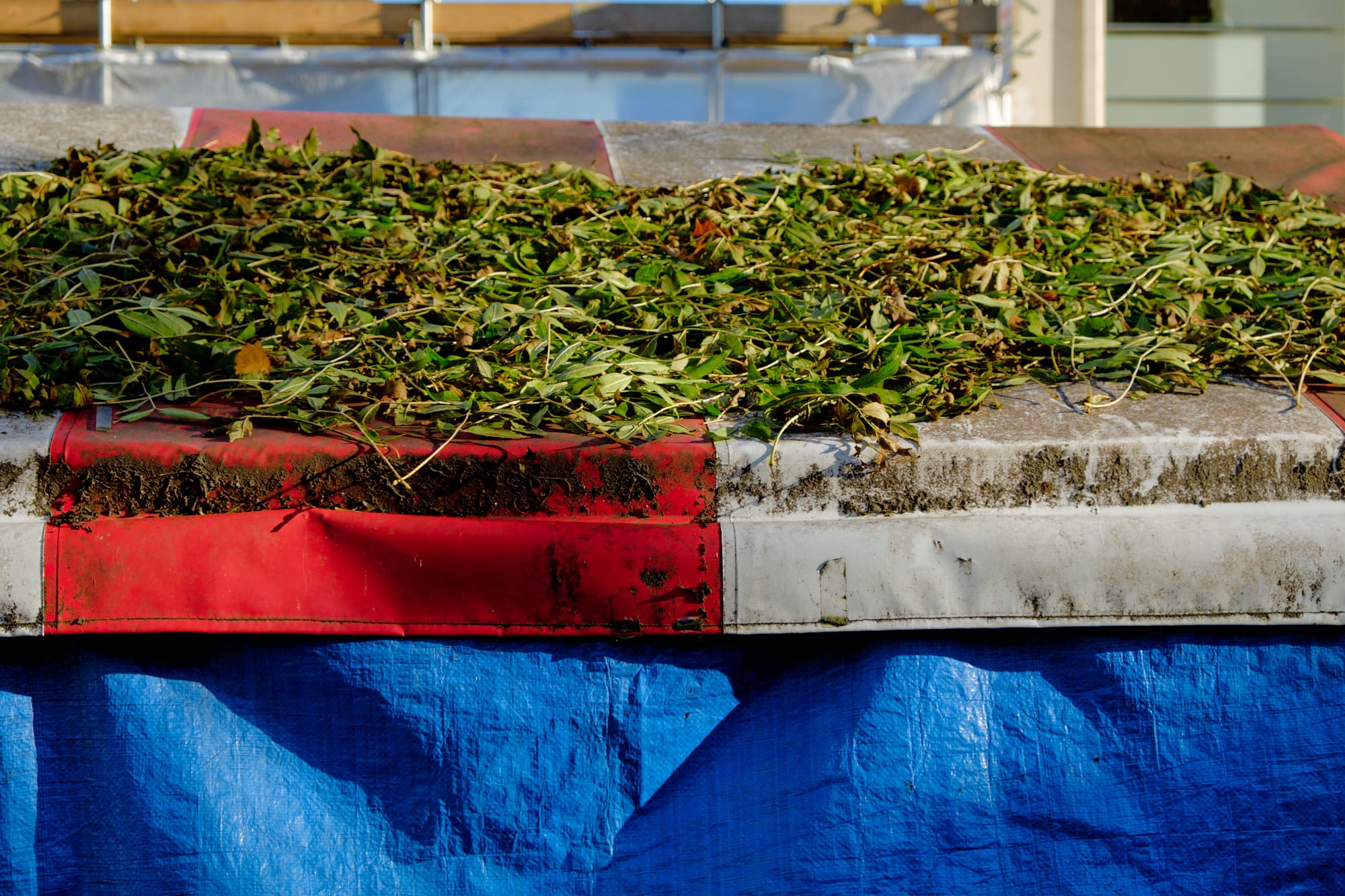 leaves on covered construction facilities