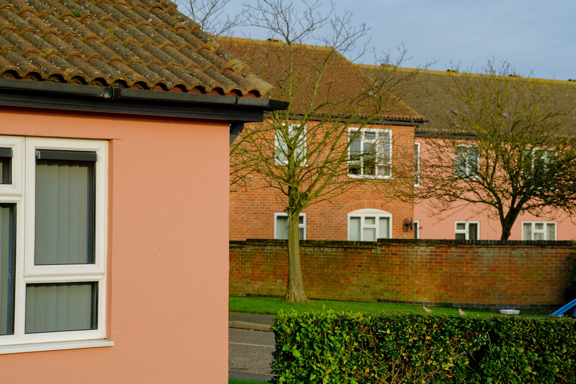 salmon-coloured houses