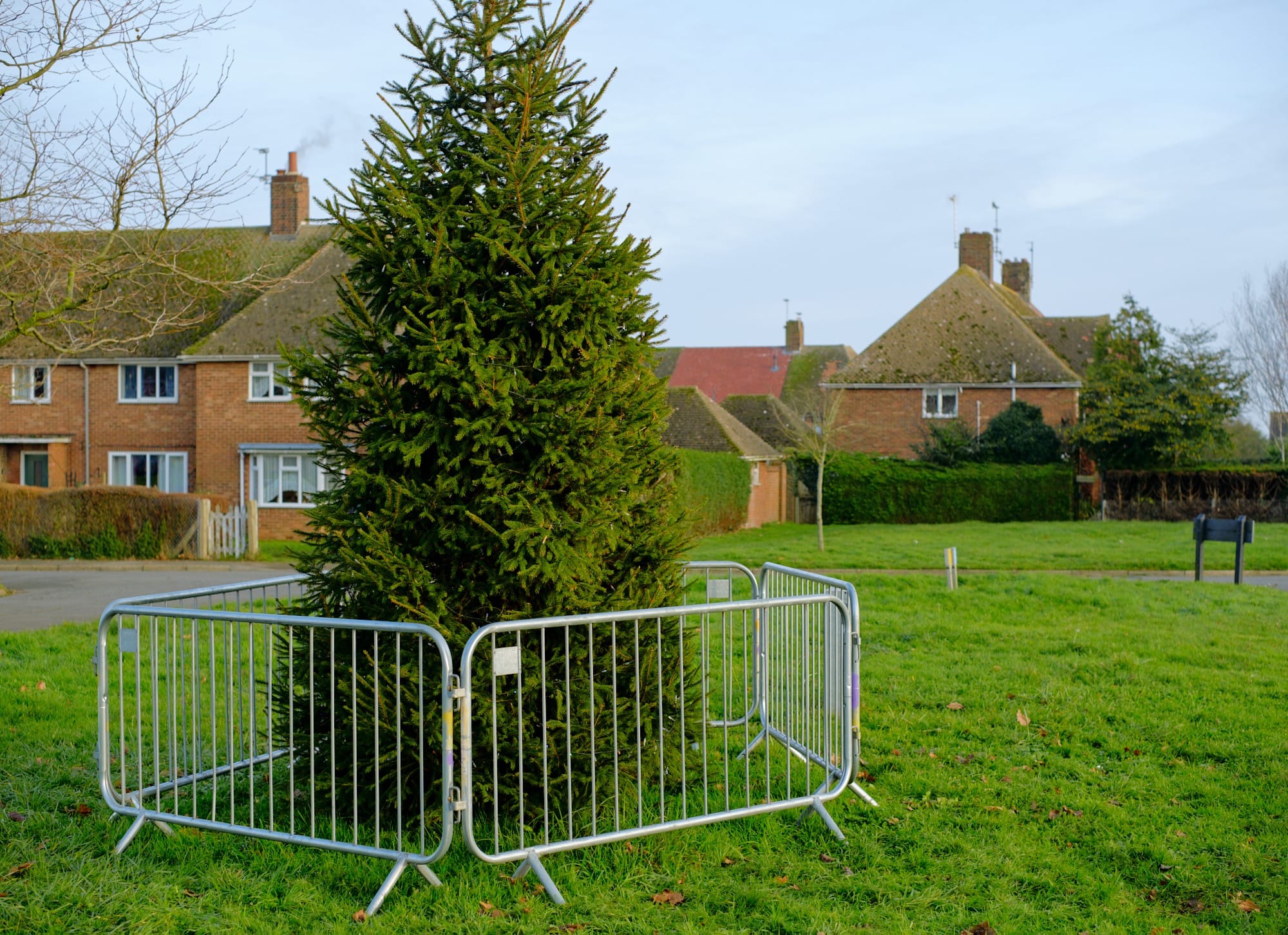 railings around a Christmas tree