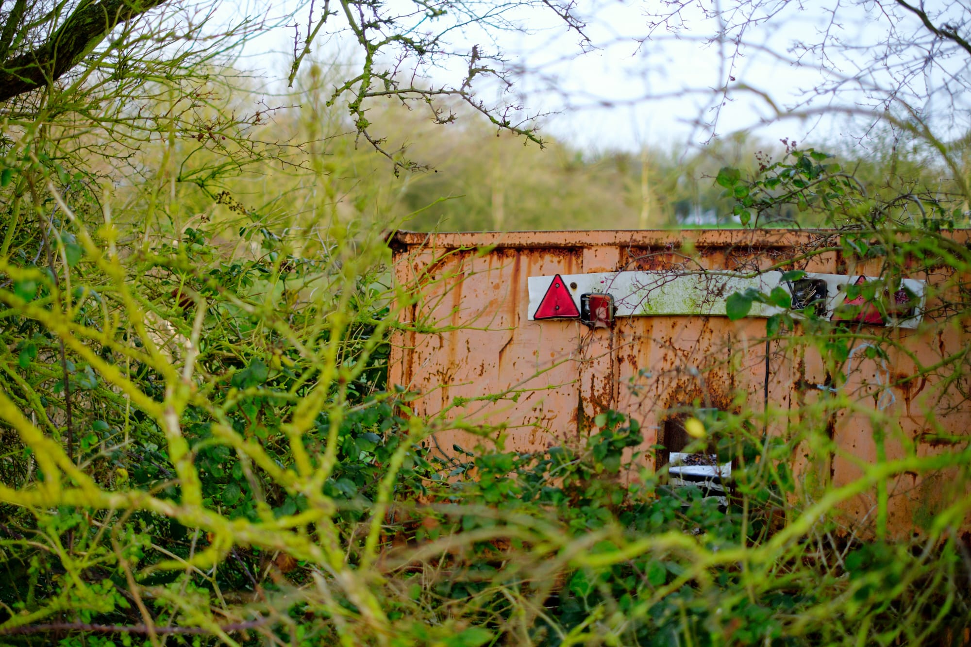 trailer covered in foliage