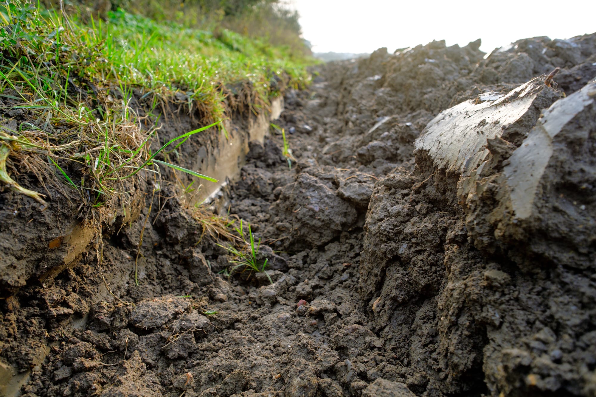 deep ruts in a field