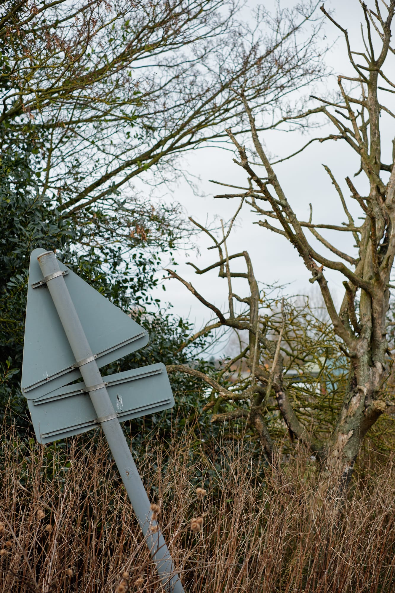 wonky road sign